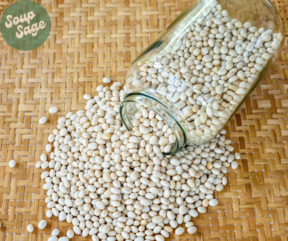 Navy Beans